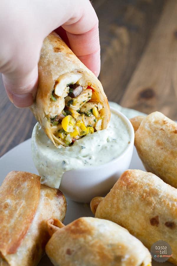 Southwestern Egg Rolls Taste and Tell