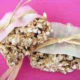 Cookbook of the Month Recipe – Whole Grain Marshmallow Crispy Bars