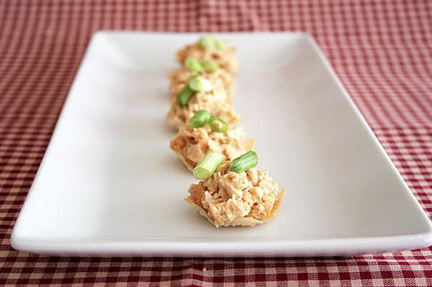 Wonton Wonders | www.tasteandtellblog.com
