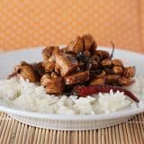 Cookbook of the Month Recipe – Kung Pao Chicken