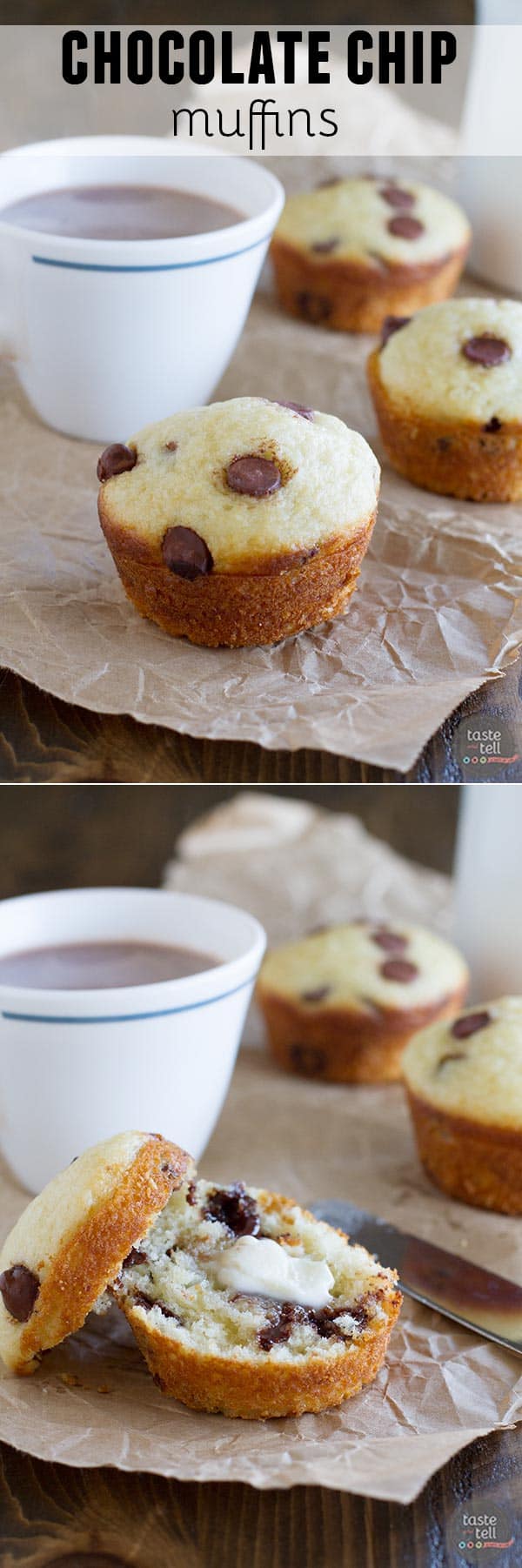 Chocolate Chip Muffin Recipe Taste and Tell
