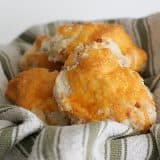 Saturdays with Rachael Ray – Cheese and Bacon Biscuits