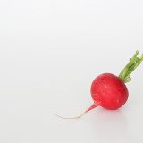 Radish1