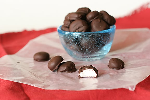 Homemade Junior Mints from Taste and Tell