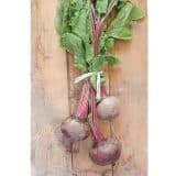 Beets