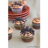 Spider Cupcakes | www.tasteandtellblog.com