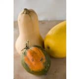 FYI: Winter Squash