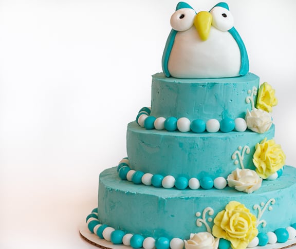 Chocolate-and-Carrots-Owl-Cake