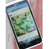 Favorite Foodie Apps