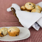 Chocolate Chip Muffins
