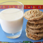 Oatmeal Scotchies