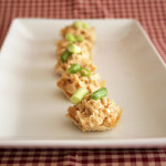 Wonton Wonders