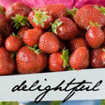 Blogger Spotlight – Delightful Delicacies