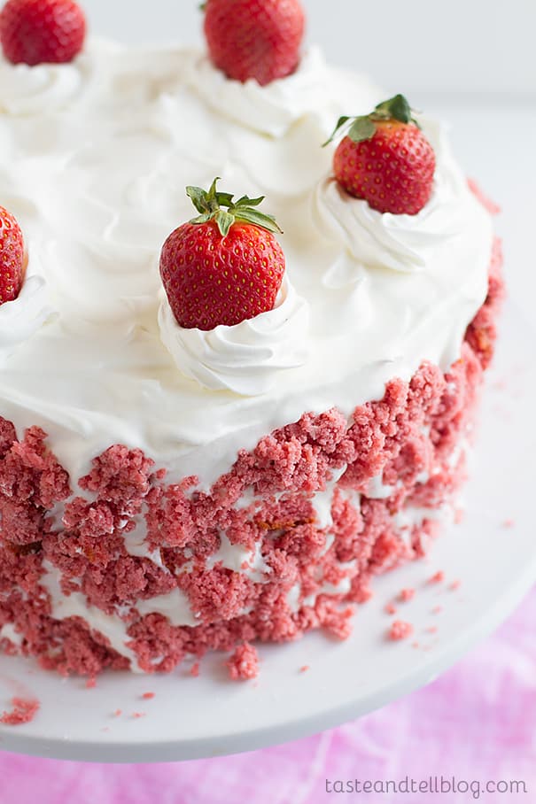 Strawberry Swirl Ice Cream Cake Strawberry Swirl Ice Cream Cake