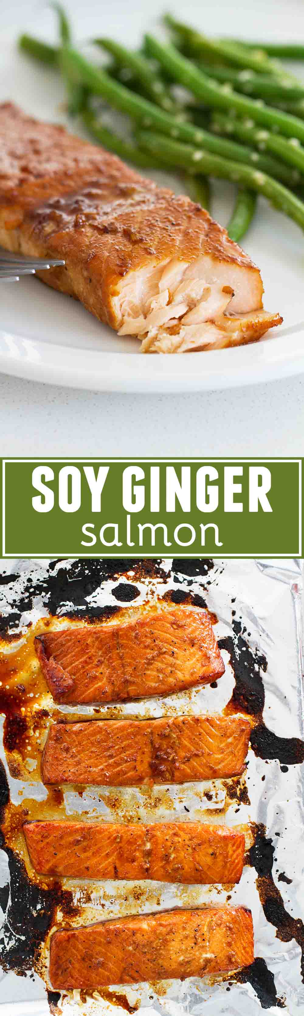 Soy Ginger Salmon Taste and Tell