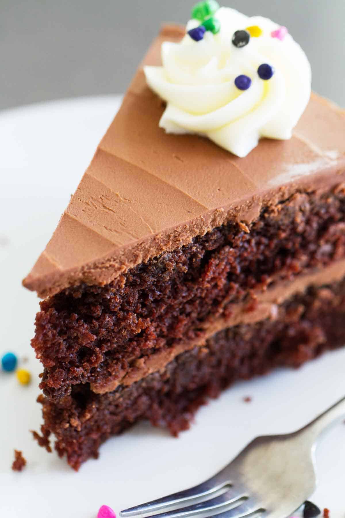 close up slice of double chocolate cake