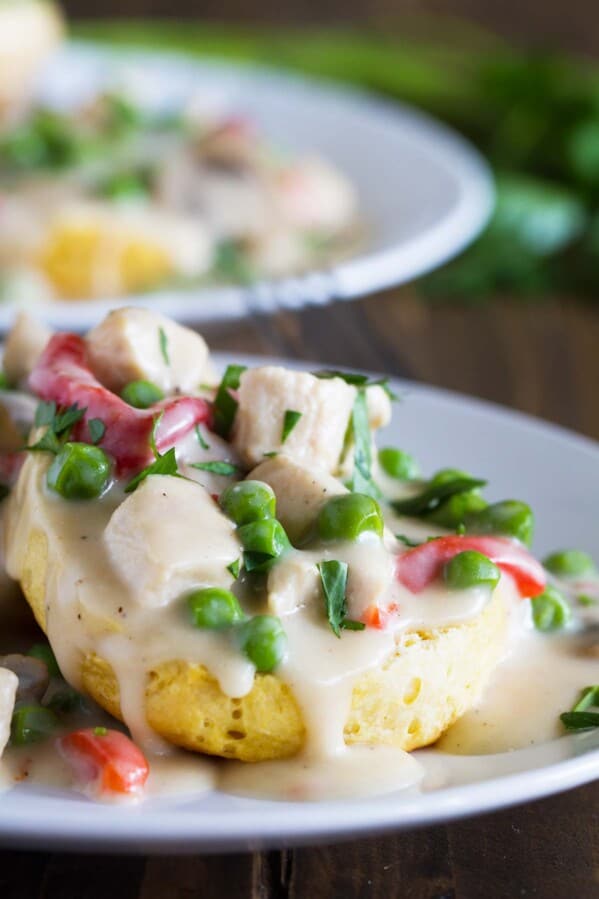 Chicken a la King con salsa di pollo fatta in casa Wechsel