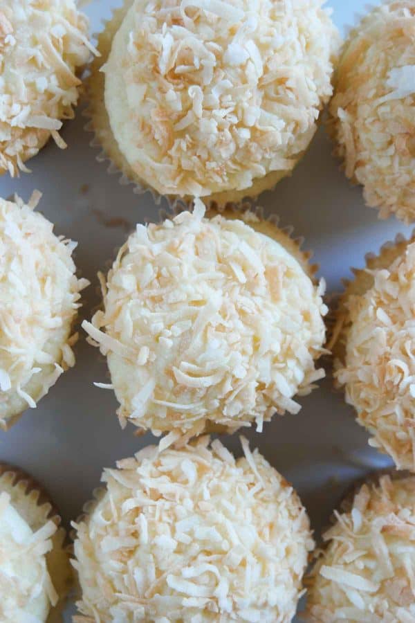 True coconut lovers will appreciate these Coconut Snowball Cupcakes! Coconut cupcakes are filled with a coconut pastry cream and then frosted with a coconut buttercream. Top them off with toasted coconut for the ultimate coconut treat!