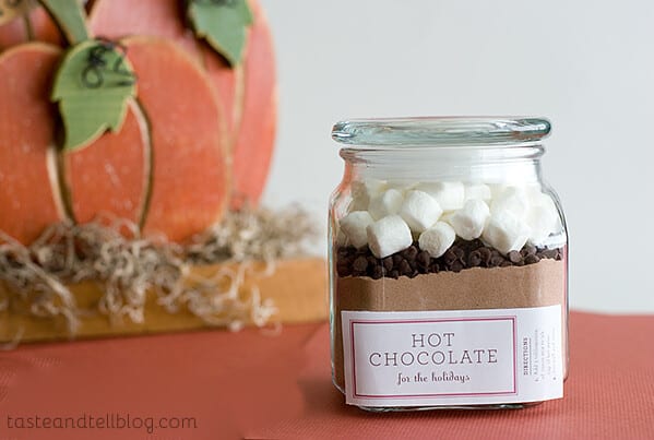 Homemade Hot Cocoa Mix | www.tasteandtellblog.com