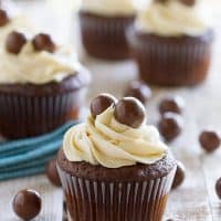 Chocolate Malt Cupcakes with Vanilla Malt Buttercream - rich chocolate cupcakes with a hint of malt are topped with a fluffy buttercream infused with even more malt flavor.