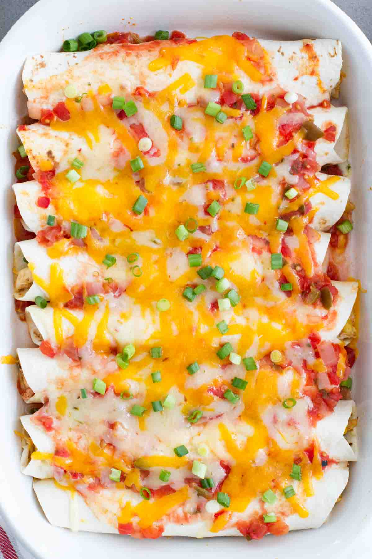 Cream Cheese Chicken Enchiladas in a white casserole dish.