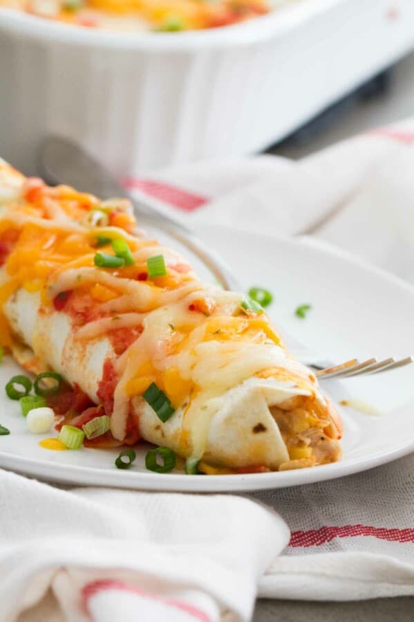 Cream Cheese Chicken Enchiladas on a plate.