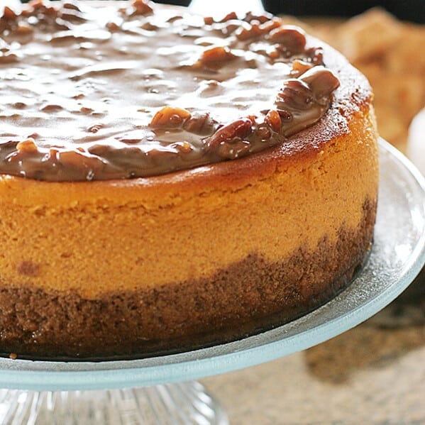 Larger-Than-Life Praline Cheesecake | www.tasteandtellblog.com