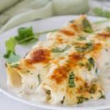 serving of white chicken enchiladas