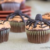 Spiderweb Cupcakes | Taste and Tell