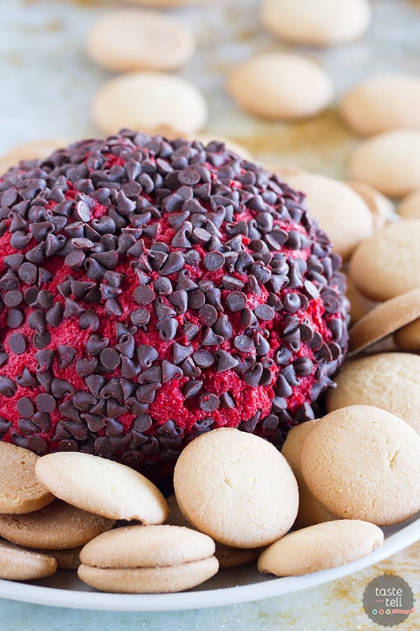 This Red Velvet Cheese Ball is the ultimate dip for red velvet lovers!! This sweet version of a cheese ball will have you going back for more!