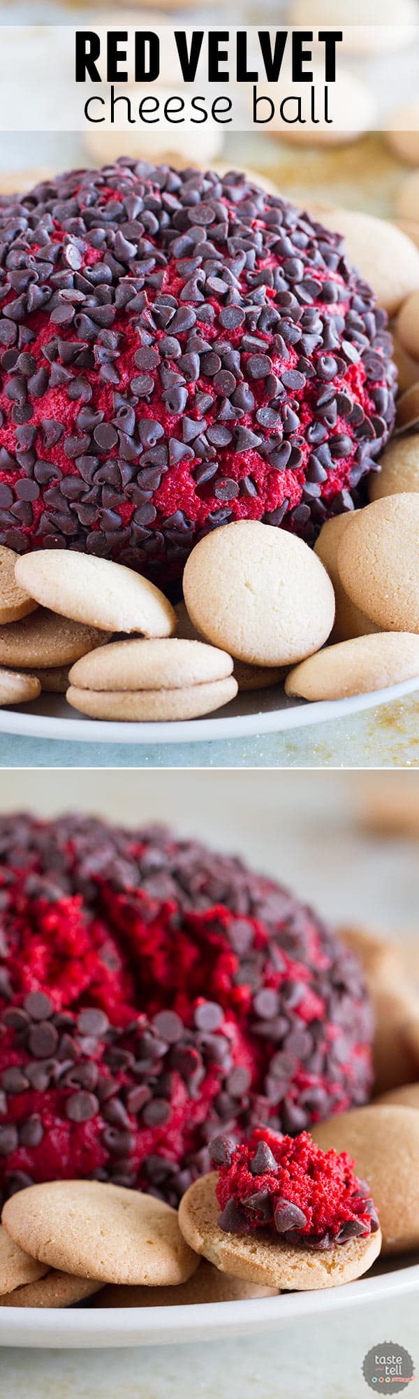 This Red Velvet Cheese Ball is the ultimate dip for red velvet lovers!! This sweet version of a cheese ball will have you going back for more!