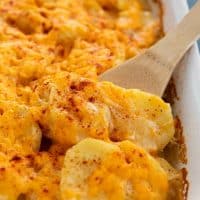 wooden spoon scooping out scalloped potatoes from a baking dish