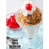 Faux Fried Ice Cream | Taste and Tell