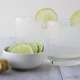 Ginger Lime Spritzer | www.tasteandtellblog.com