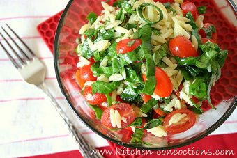 Kitchen Concoctions Blogger Spotlight - Taste and Tell