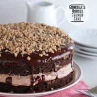 Chocolate Mousse Crunch Cake | www.tasteandtellblog.com