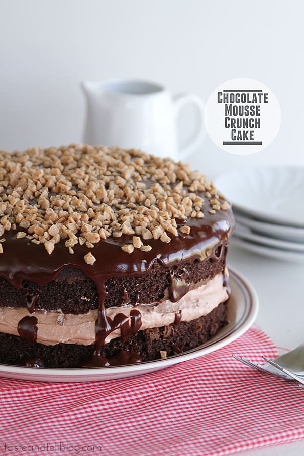 Chocolate Mousse Crunch Cake | www.tasteandtellblog.com