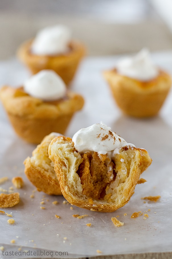 Mini Crescent Pumpkin Pies | Taste and Tell