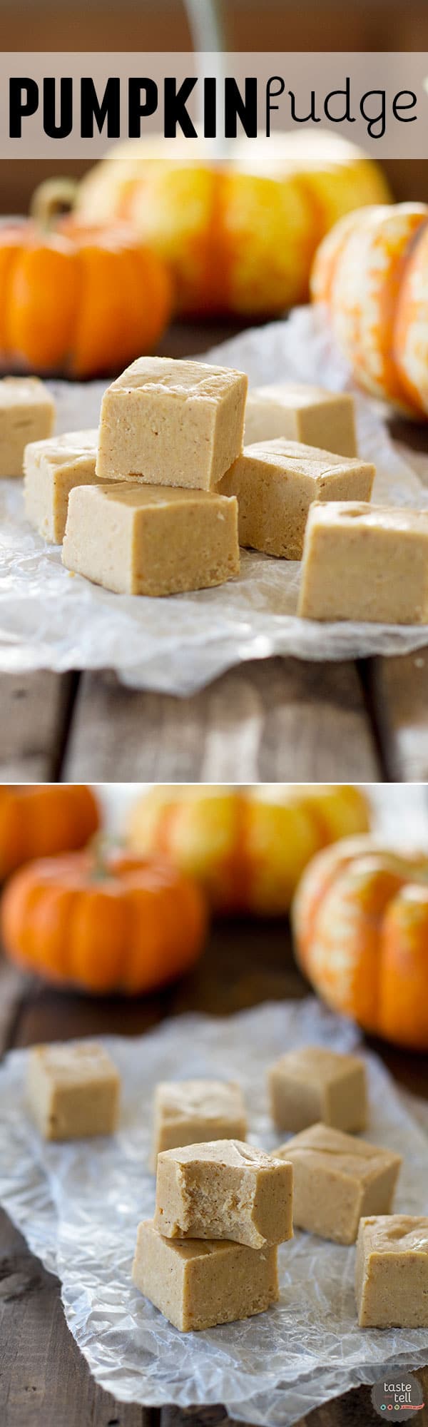 Pumpkin Fudge - Taste and Tell