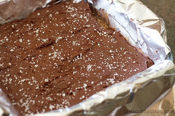 Salted Caramel Chocolate Frosting Fudge from www.tasteandtellblog.com