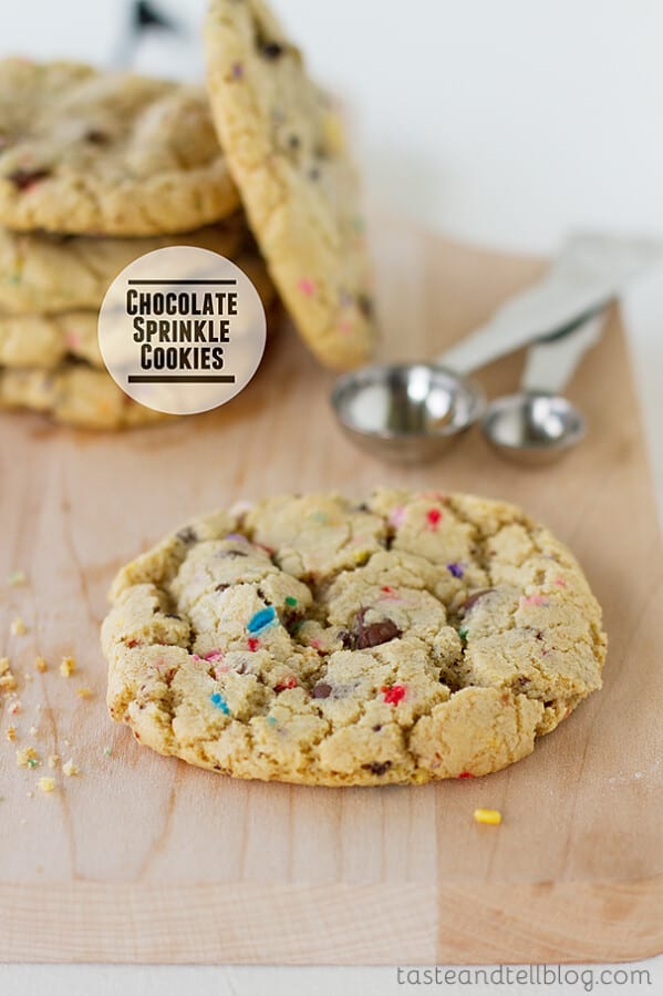Chocolate Oatmeal Coconut Cookies Taste and Tell