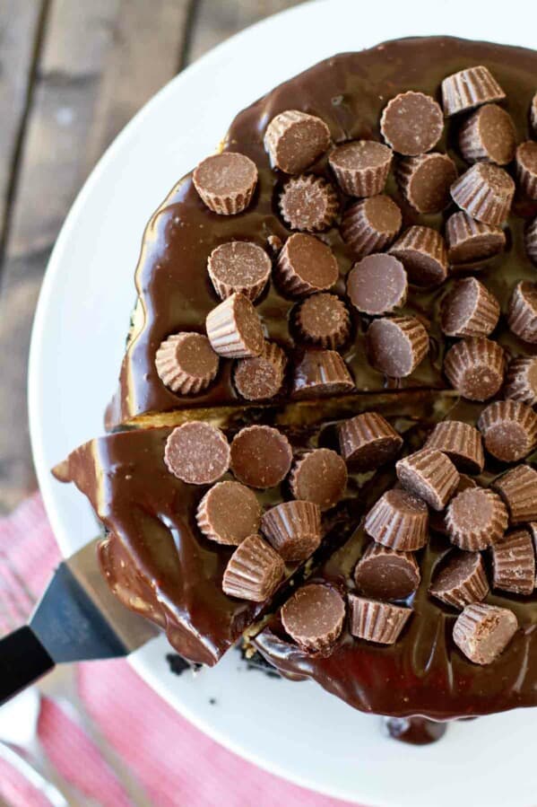 The Best Reese's Peanut Butter Cheesecake Taste and Tell