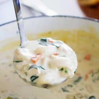 Chicken and Gnocchi Soup in a ladle