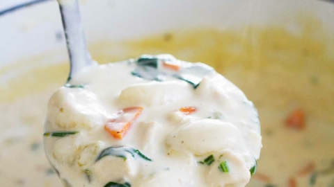 Chicken and Gnocchi Soup in a ladle