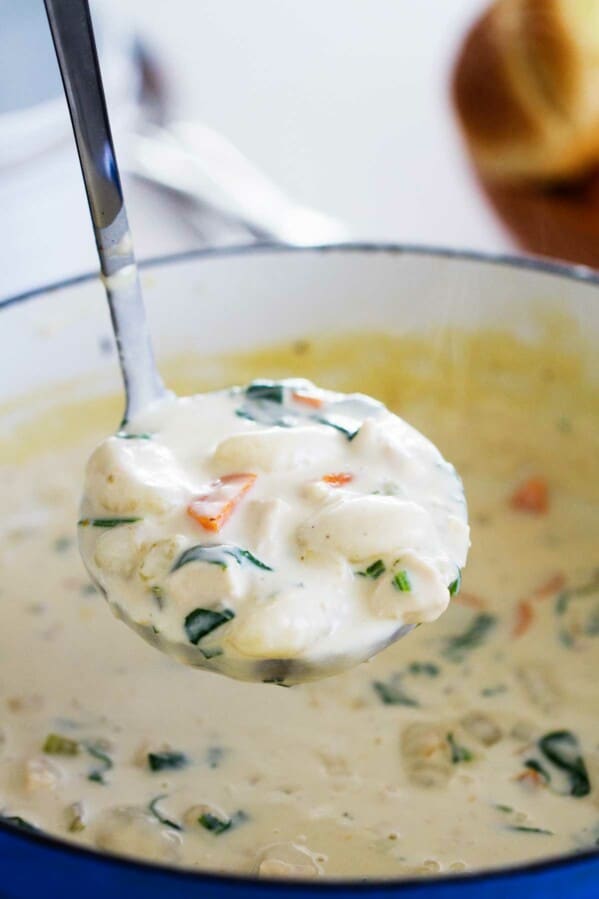 Chicken and Gnocchi Soup in a ladle