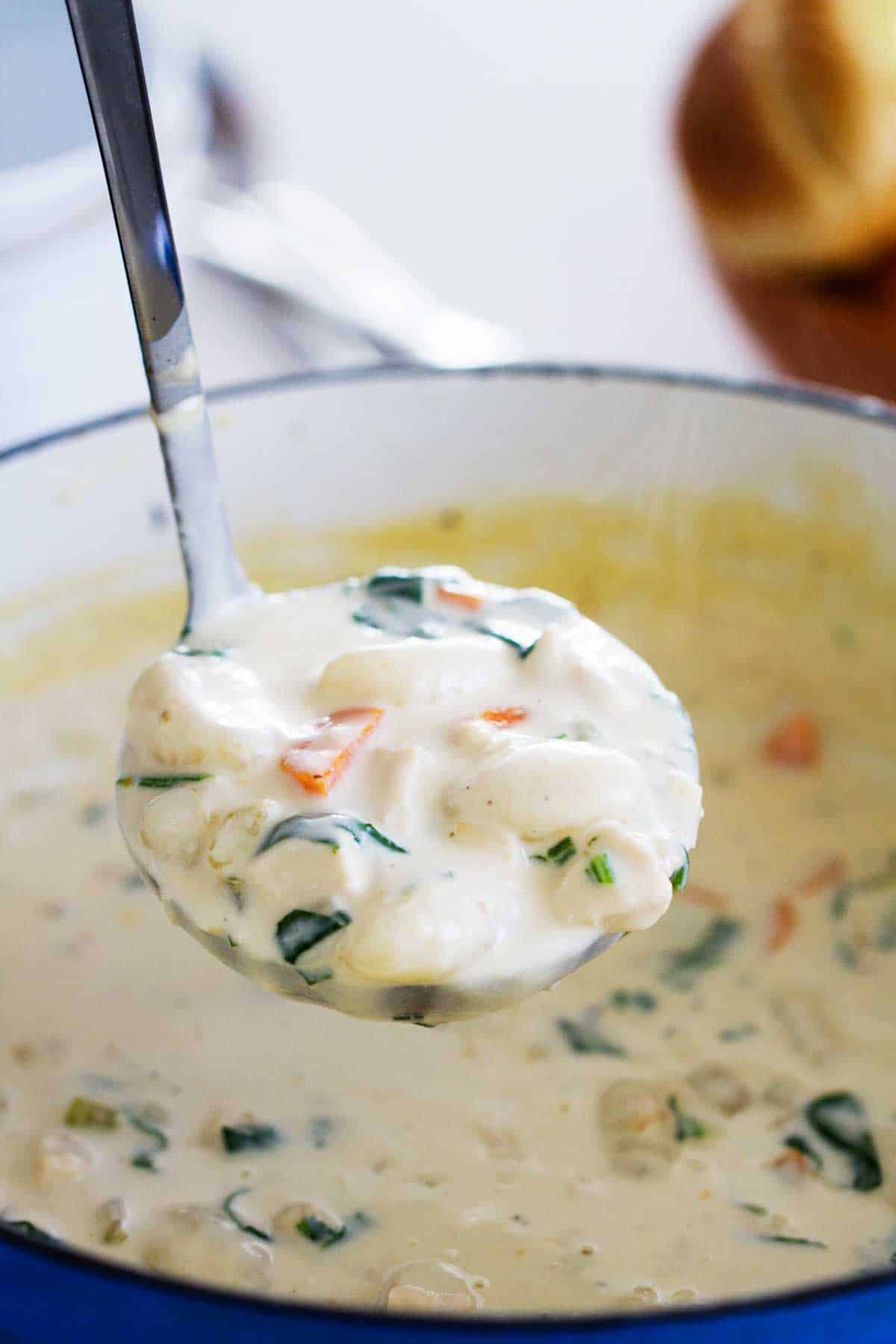 Chicken and Gnocchi Soup in a ladle