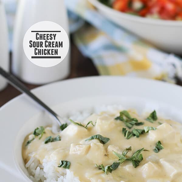 Slow Cooker Queso Verde Dip Taste and Tell