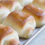 Lion House Rolls Dinner Rolls