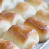 Recipe for Lion House Rolls