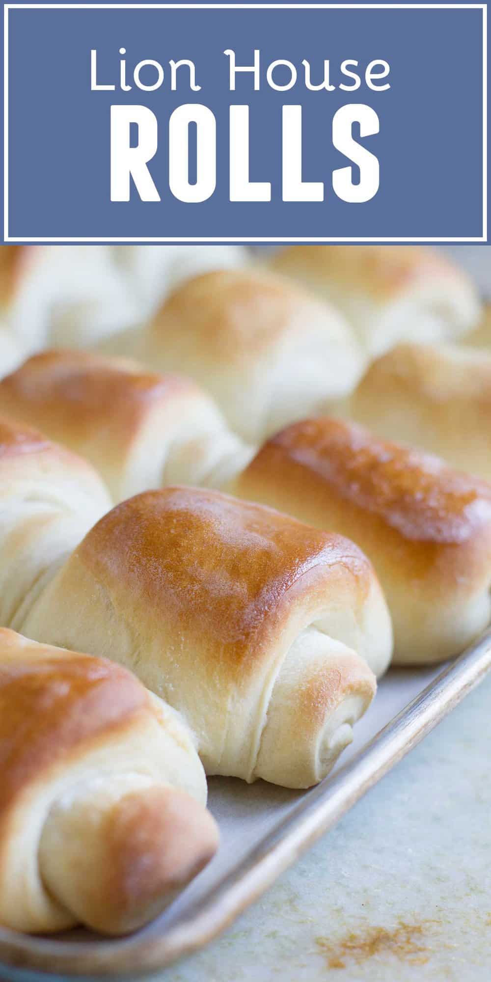 Lion House Rolls - Best Homemade Dinner Rolls - Taste and Tell